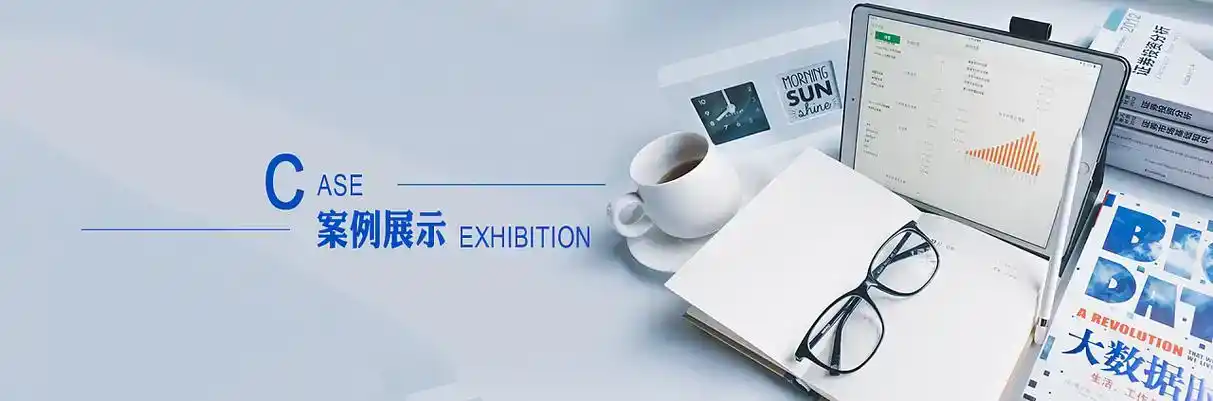 南乐县软件开发